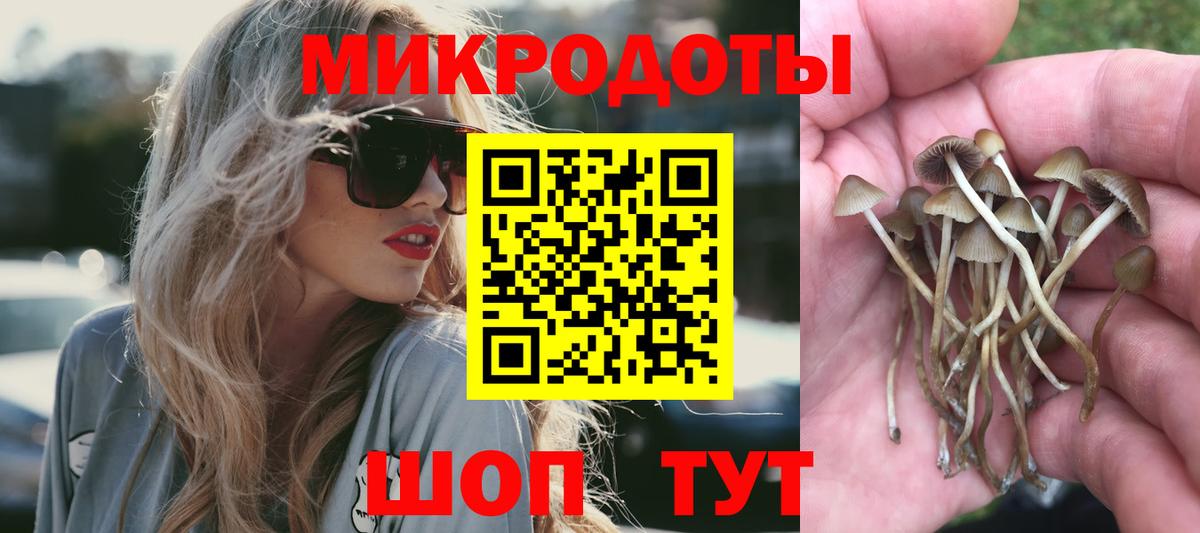 где купить наркотик  Вход с VPN  Кимры  Псилоцибиновые грибы Psilocybe 