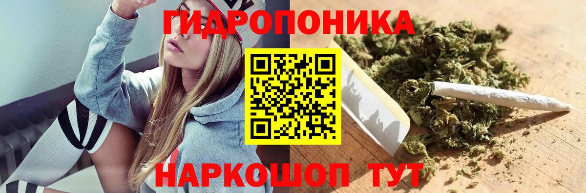 Каннабис ГИДРОПОН Кимры